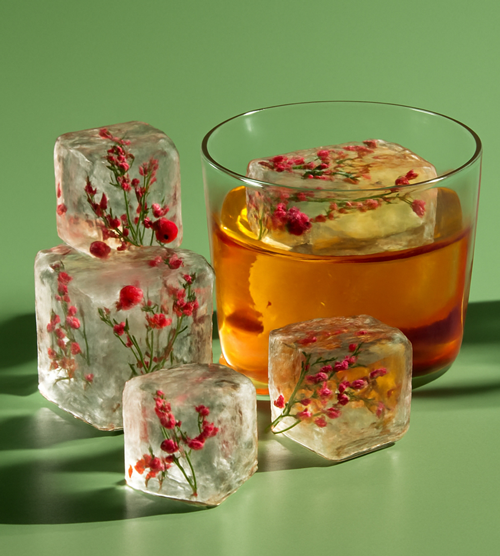 Laphroaig Whisky im Glas mit einem Eiswürfel, der eine Blume beinhlatet, neben vier weiteren floralen Eiswürfeln vor einem grünen Hintergrund