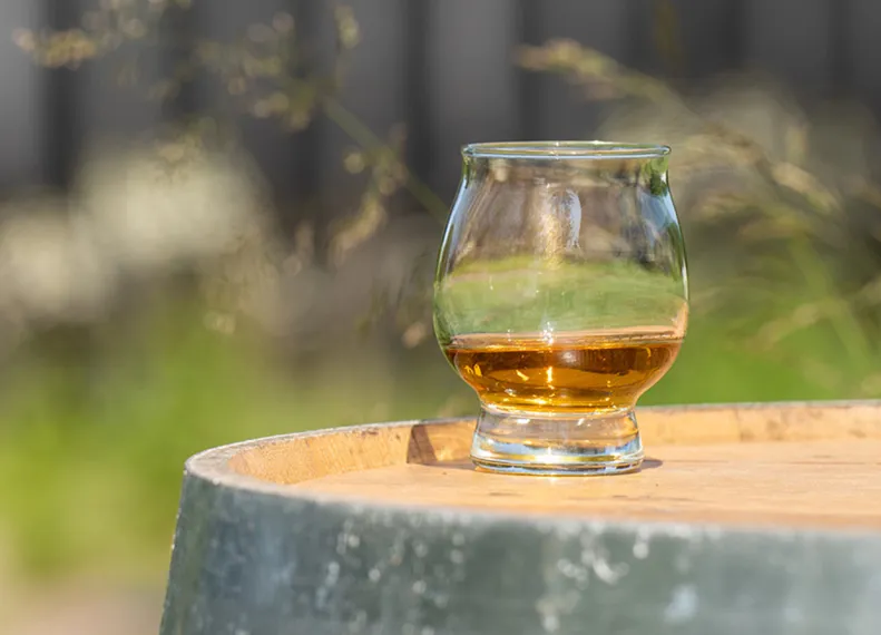 Beam Suntory Releases 2022 Sustainability Report 