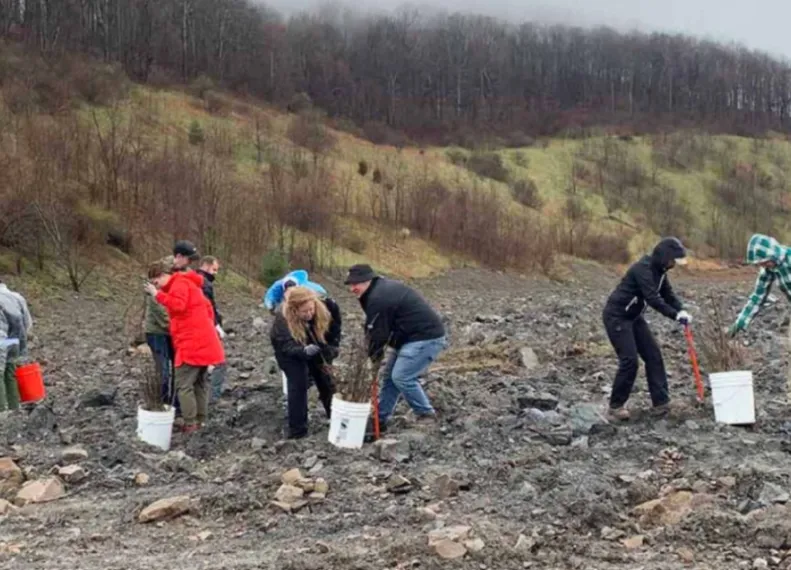 conservation partners reforest former mines