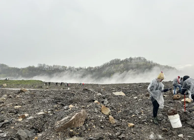 Final Banner Image_KY Tree Planting