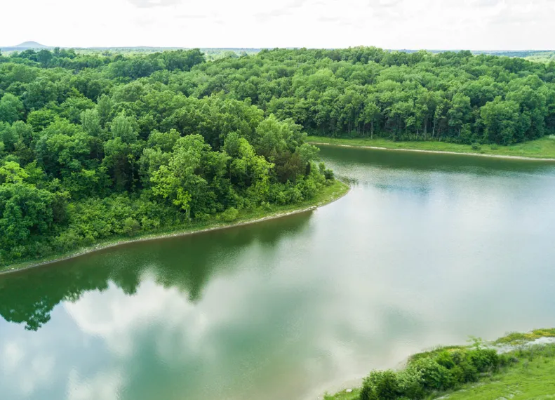 Suntory Group and Bosland Growth Join Forces to Elevate Hardwood Conservation