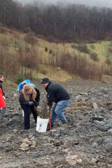 conservation partners reforest former mines