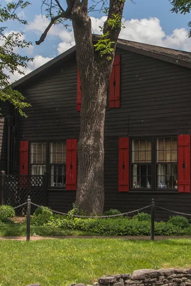 Nachhaltigkeit-neu-definiert