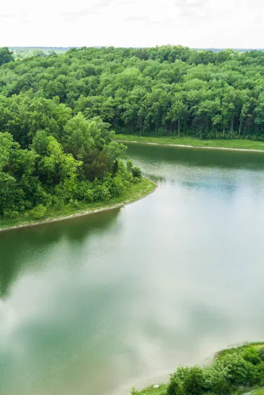 Suntory Group and Bosland Growth Join Forces to Elevate Hardwood Conservation