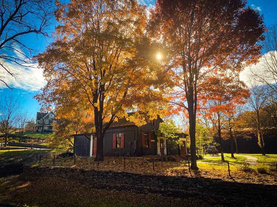 image of Makers Mark Distillery surrounded within forest trees