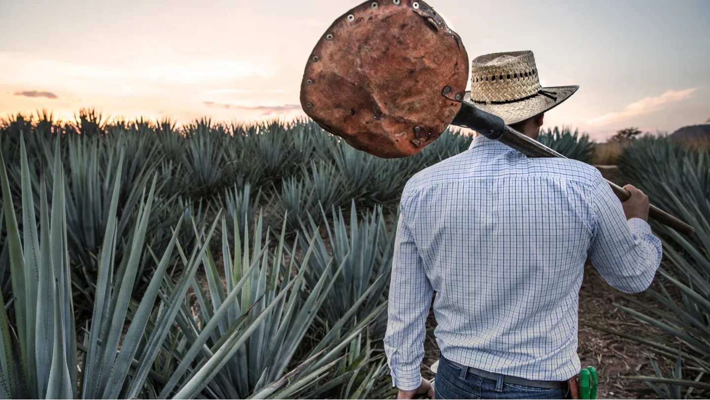 image of a farmer shoveling a crop farm