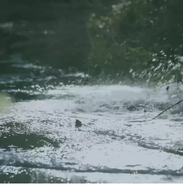 Waterfall image