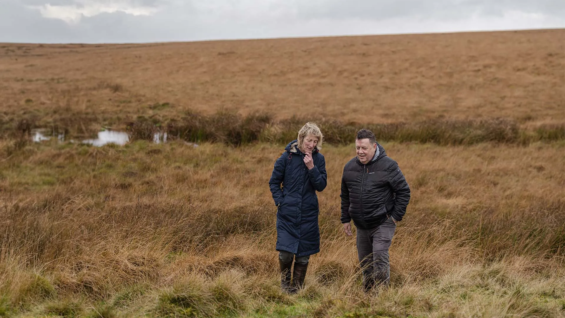 Two figure stand on blustery peatland