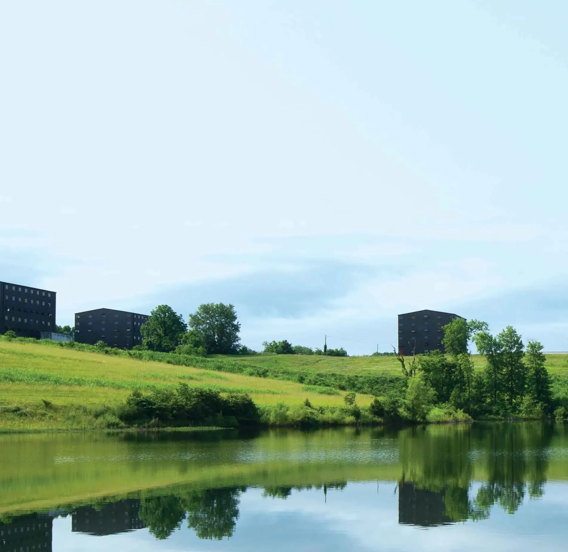 Trees surrounding water image
