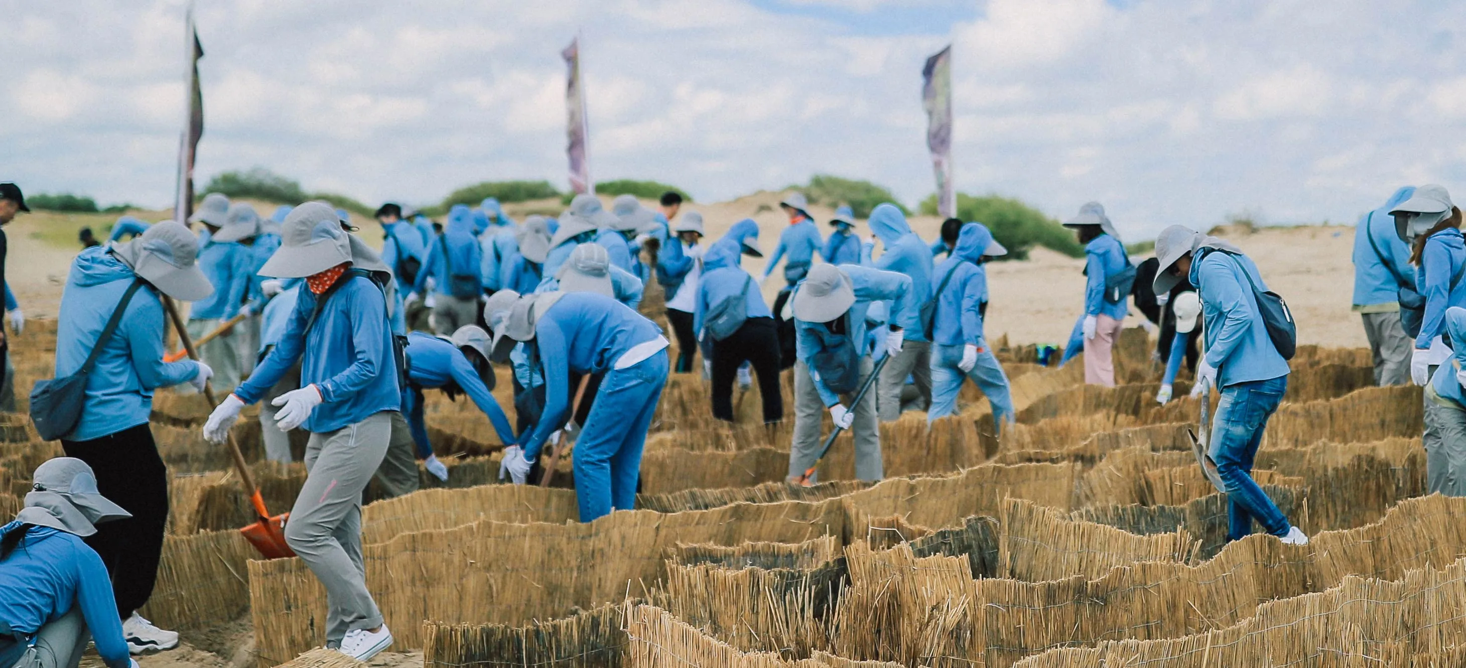 A team of workers engaged in field work. Matching blue hats protect them from the sun.