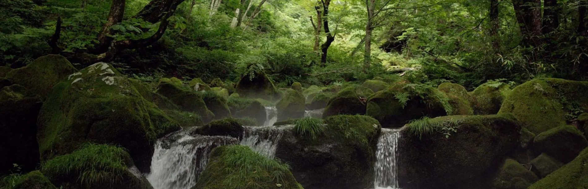 water rolling down rocks in the woods