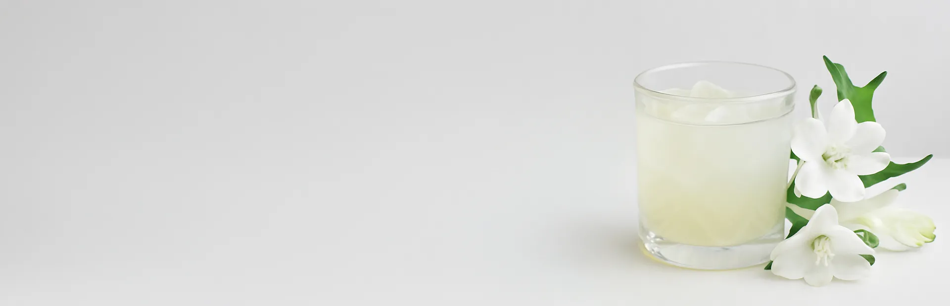 Roku Cocktail im Glas mit Eis neben einem Zweig mit weißen Blüten